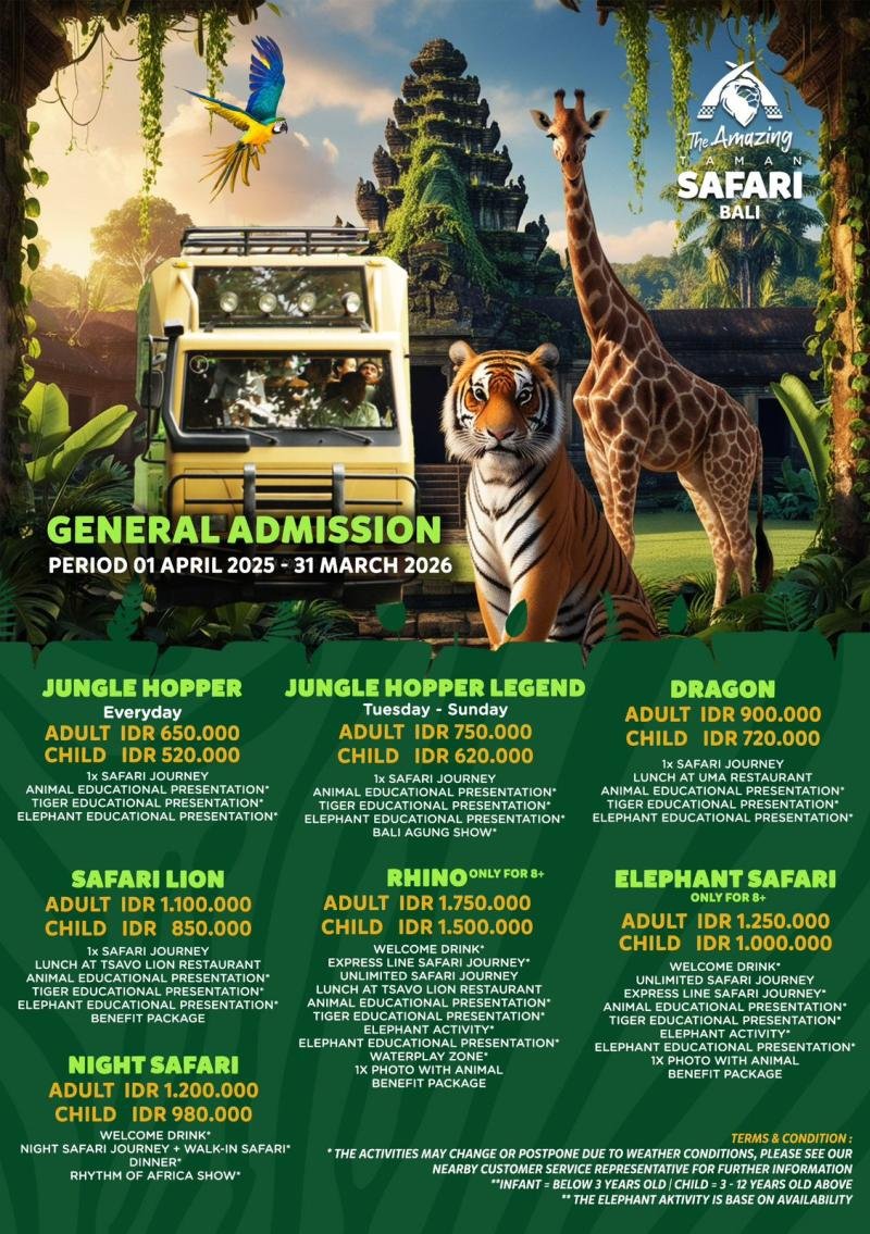 SAFARI LION (Everyday)